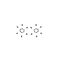 Haschimi Schwarzkümmelöl